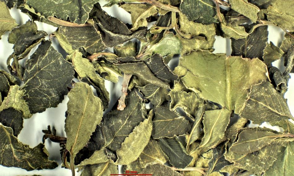 2019-1-14-827foto 4 drogy.jpg